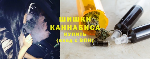 шишки Мегион