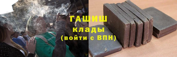 шишки Мегион