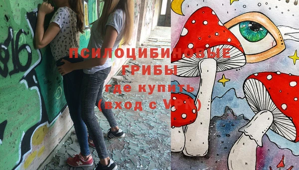 шишки Мегион
