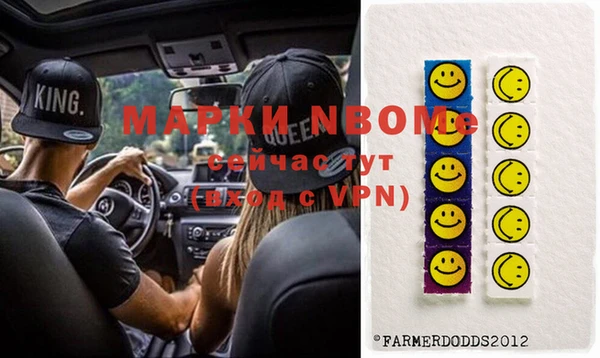 шишки Мегион