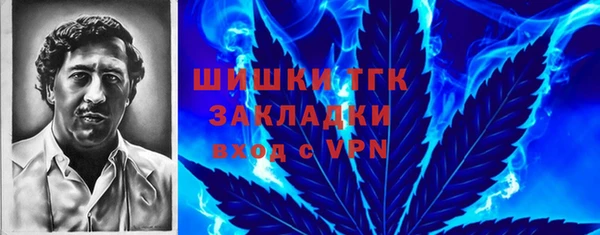шишки Мегион