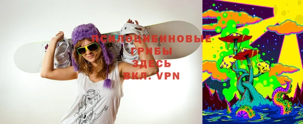 шишки Мегион